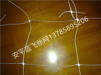 塑料網(wǎng)-4.jpg
