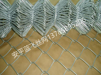 勾花網(wǎng)-6.jpg