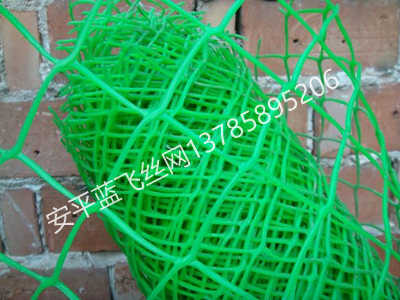 塑料平網(wǎng)-5.jpg