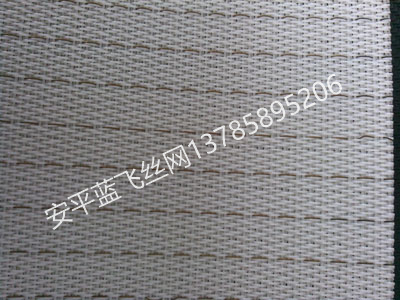 聚酯網(wǎng)-3.jpg