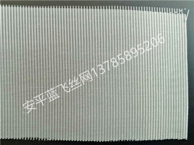 尼龍席型網(wǎng)-3.jpg