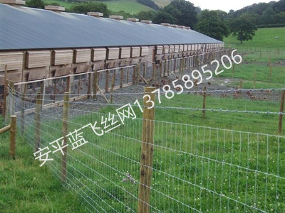牧場護欄網(wǎng)-1.jpg