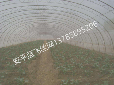 乙烯網(wǎng)-5.jpg