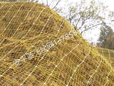 邊坡防護(hù)網(wǎng)-3.jpg