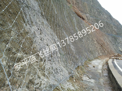 邊坡防護(hù)網(wǎng)-5.jpg