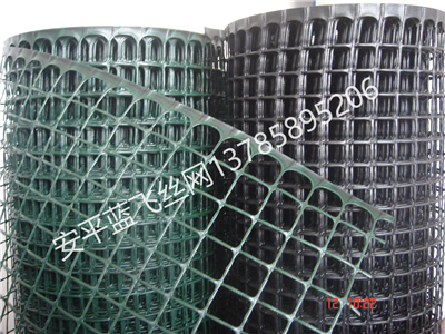 塑料網(wǎng)-6.JPG