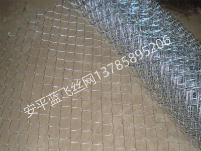 六角網(wǎng)-5.jpg