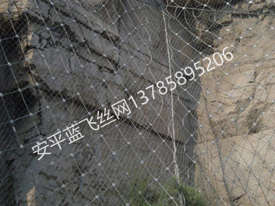 邊坡防護(hù)網(wǎng)-4.jpg