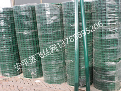 荷蘭網(wǎng)-5.jpg